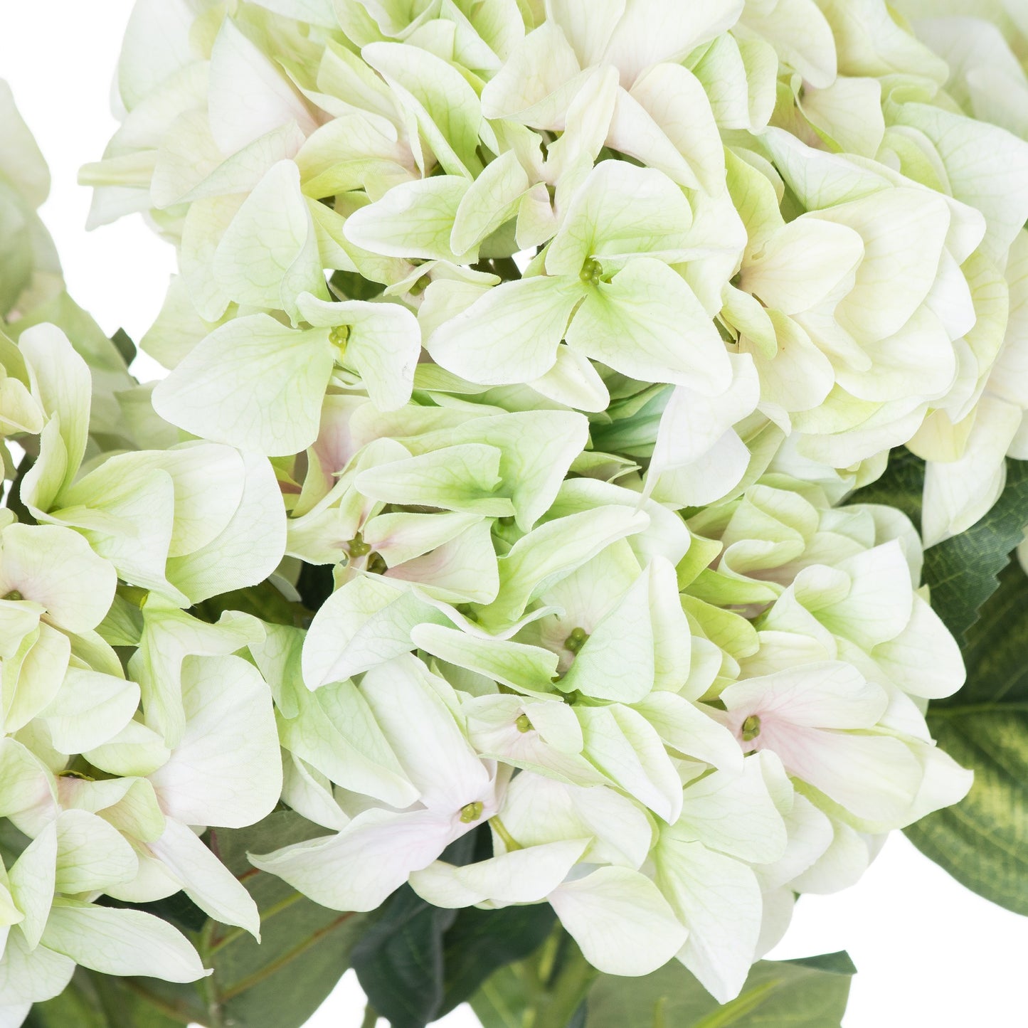 Shabby Green Hydrangea Bouquet image 1