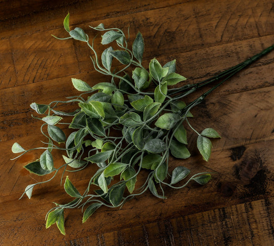 Green Shoots Greenery Bunch image 1