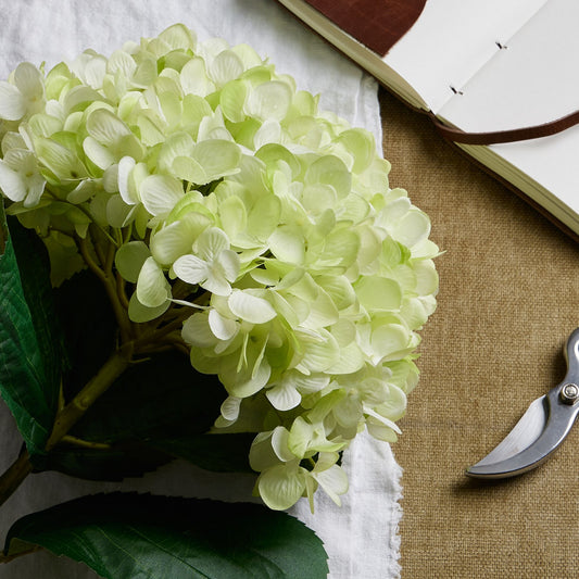 Oversized Green Hydrangea image 1