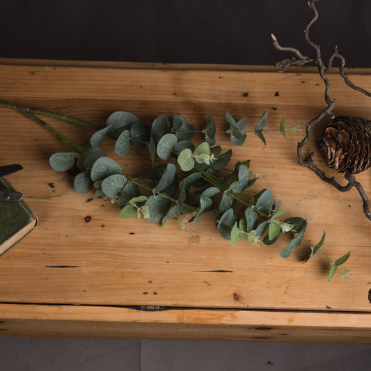 Eucalyptus Spray image 1