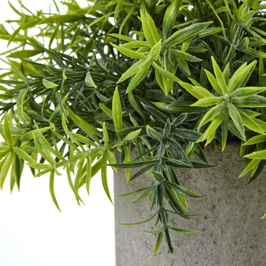 Small Bamboo Plant In Grey Pot image 1