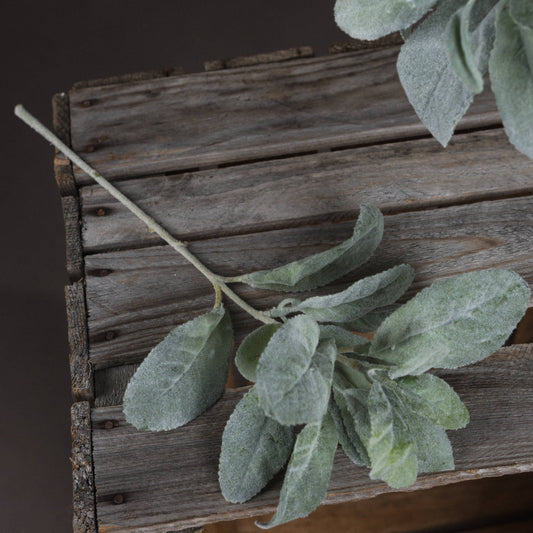 Lambs Ear Spray image 1