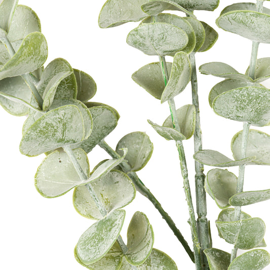 Gunnii Eucalyptus Spray image 1