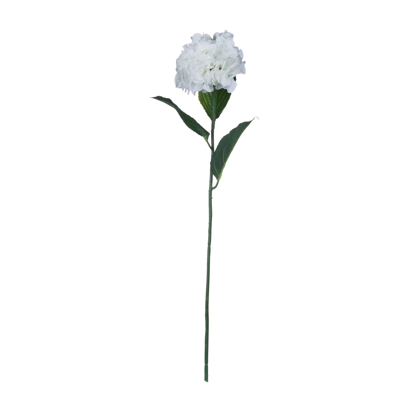 White Small Head Hydrangea image 4