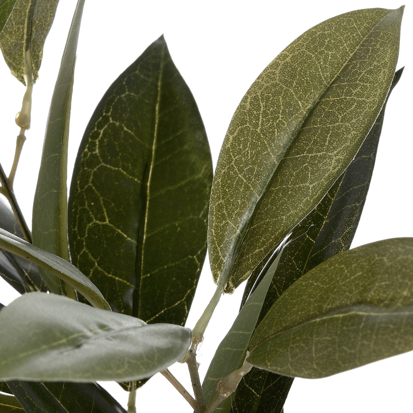 Faux Bay Leaf Spray image 4