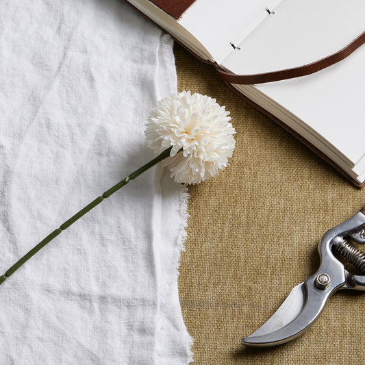 White Short Chrysanthemum image 1