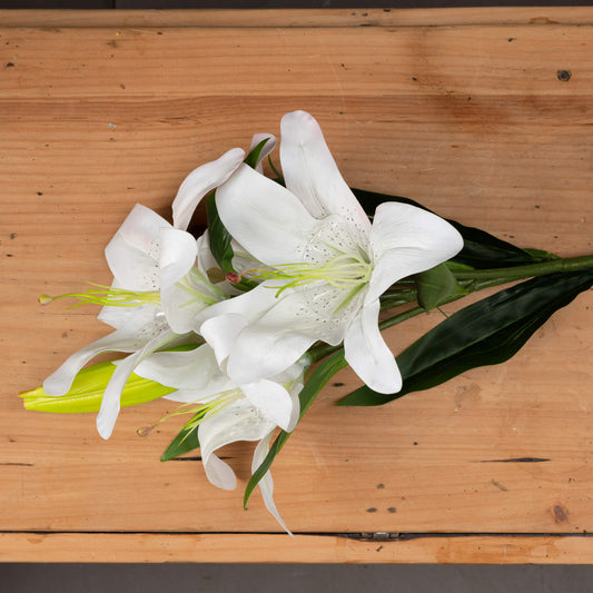 White Lily image 1