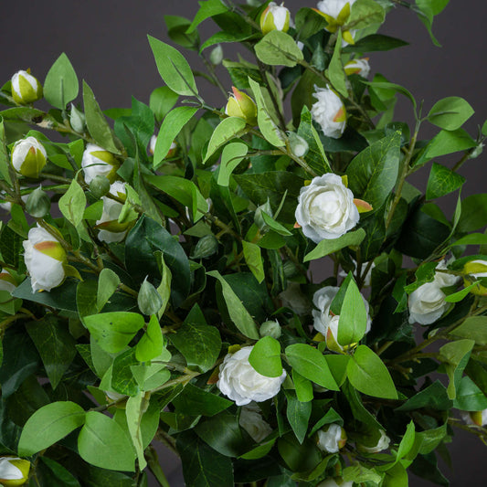 Cream Gardenia Stem image 1