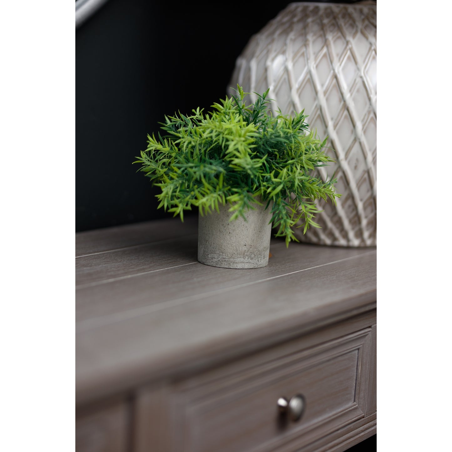 Small Bamboo Plant In Grey Pot image 2