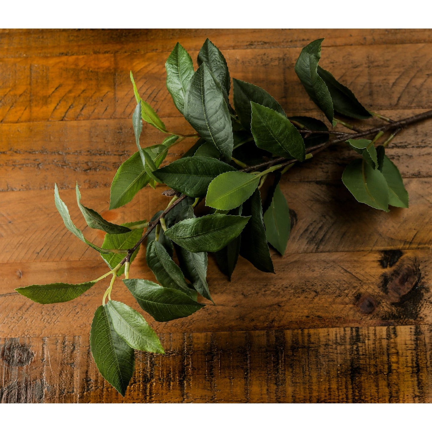 Laurel Leaf Spray image 1