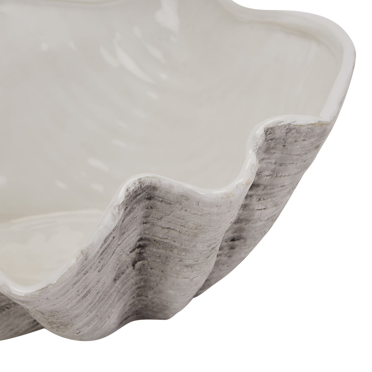 Close-up of a textured coastal style shell ceramic bowl with a white background