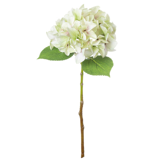 Shabby Green Single Hydrangea image 1