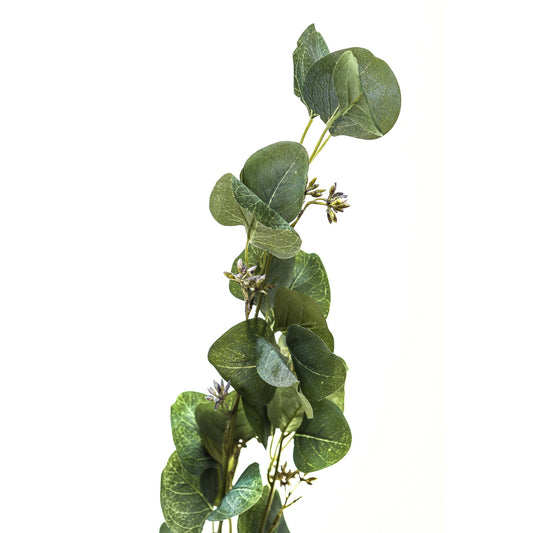Eucalyptus Stem Spray image 1