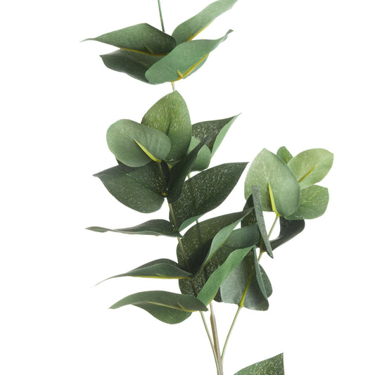 Eucalyptus Filler image 1