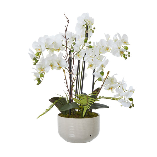 Large White Orchid In Ceramic Pot image 0