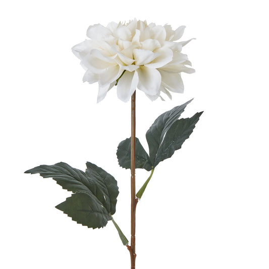 The Natural Garden Collection Tall White Dahlia image 1