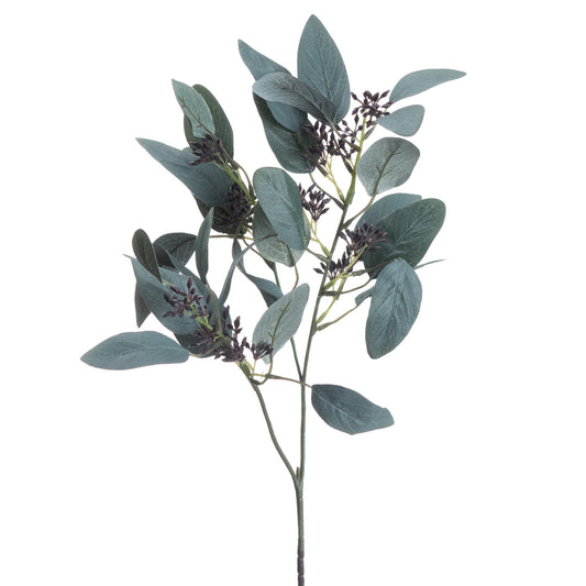 Seeded Eucalyptus Stem image 1