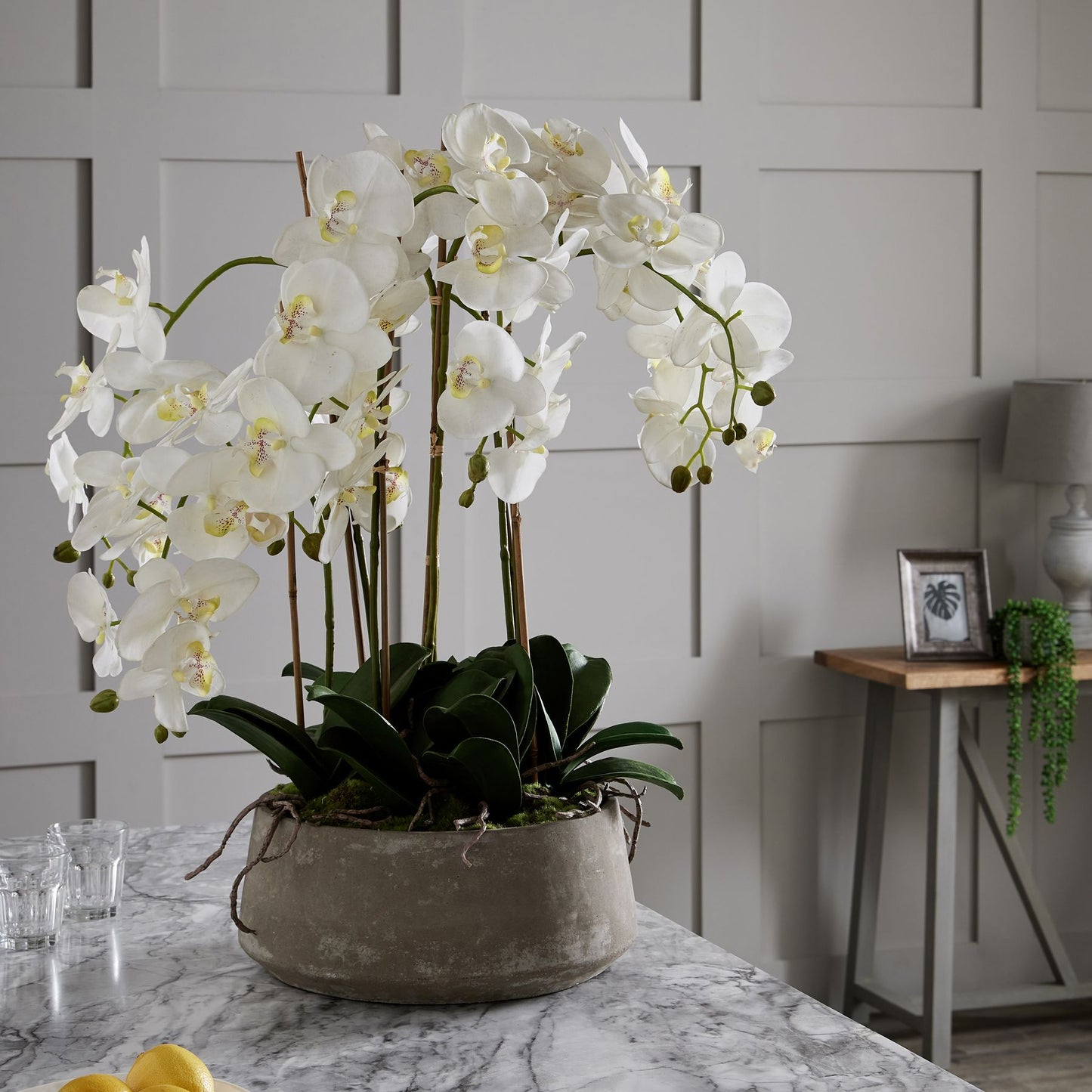 Large White Orchid In Stone Pot image 3