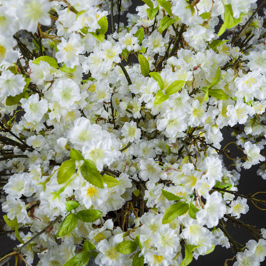 White Cherry Blossom Spray image 1