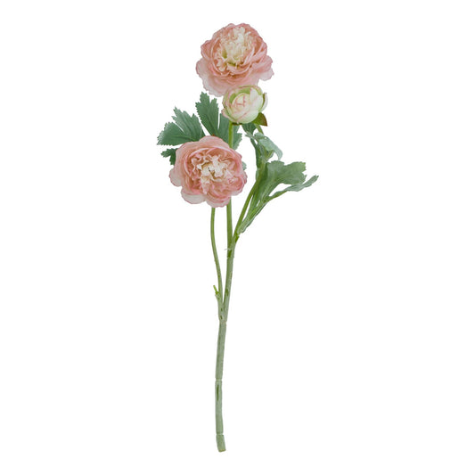 The Natural Garden Collection Pink Ranunculus image 0
