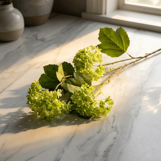 Green floral viburnum flower on a marble surface with soft lighting