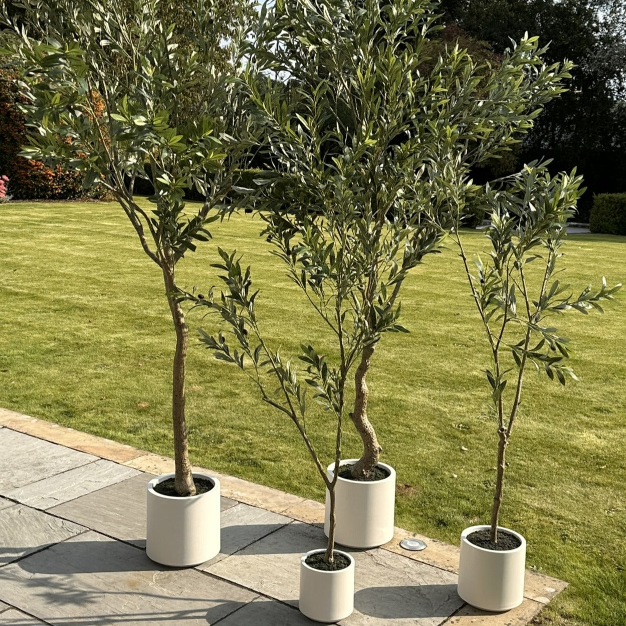 Artificial Plants & Trees