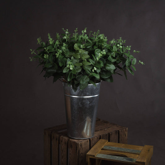 Cineraria Eucalyptus Spray image 0