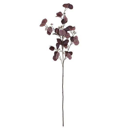Burgundy Purple Berried Eucalyptus Stem image 1