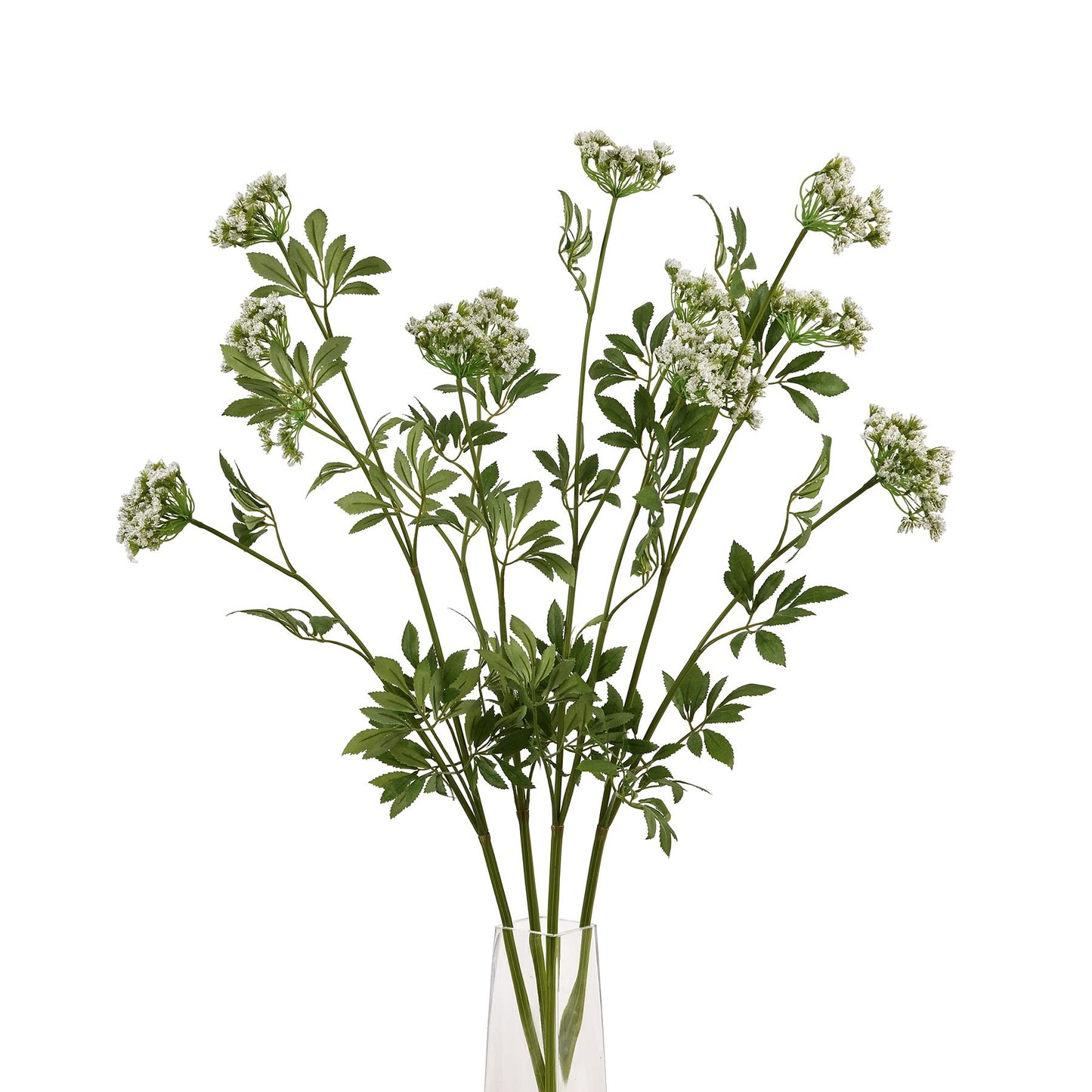 Faux White Cow Parsley Ammi image 4