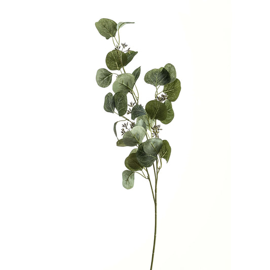 Eucalyptus Stem Spray image 0