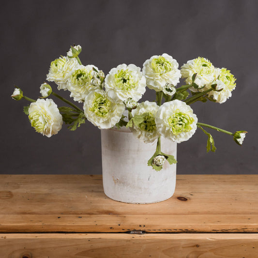 Green Ranunculus Spray image 0