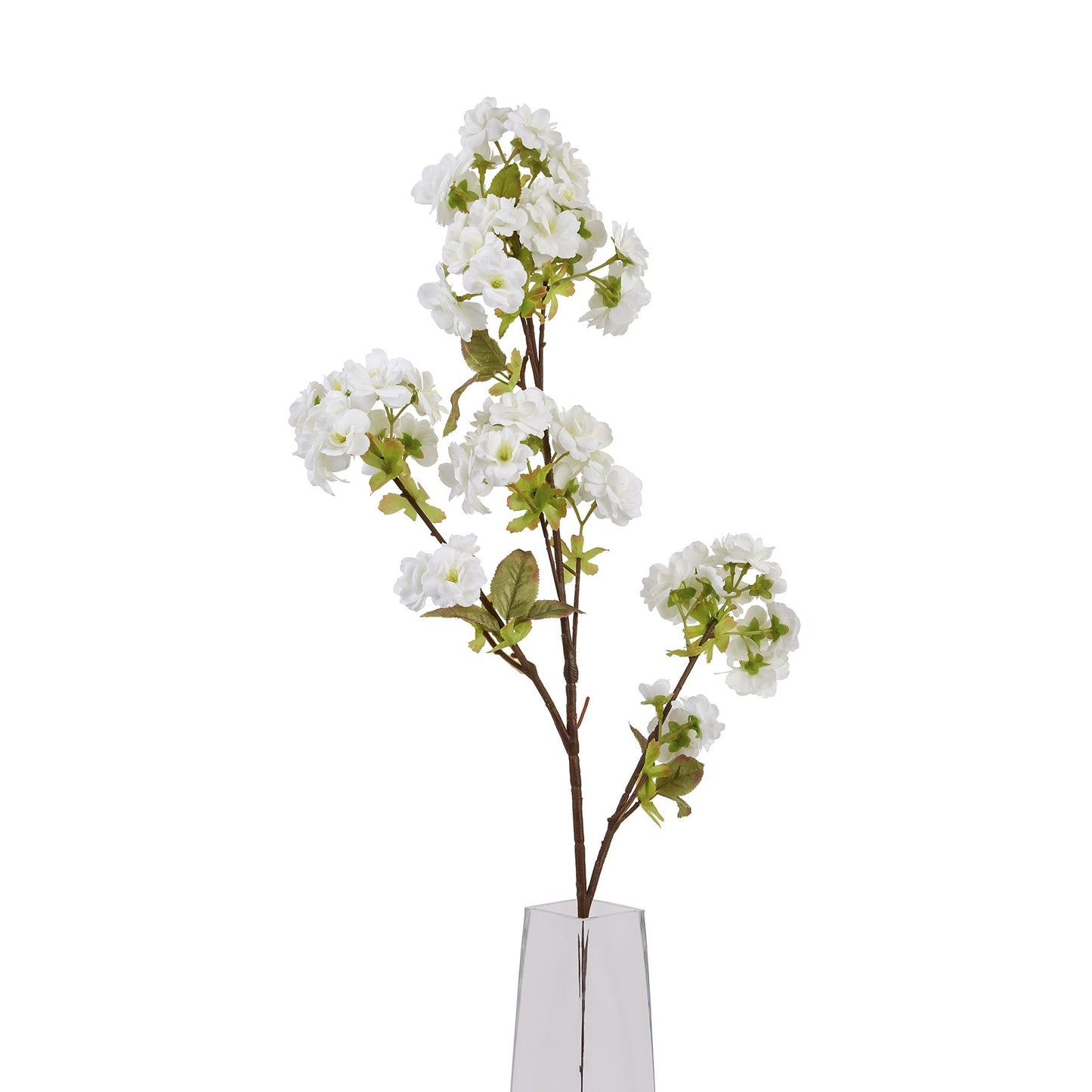 Tall White Blossom image 4
