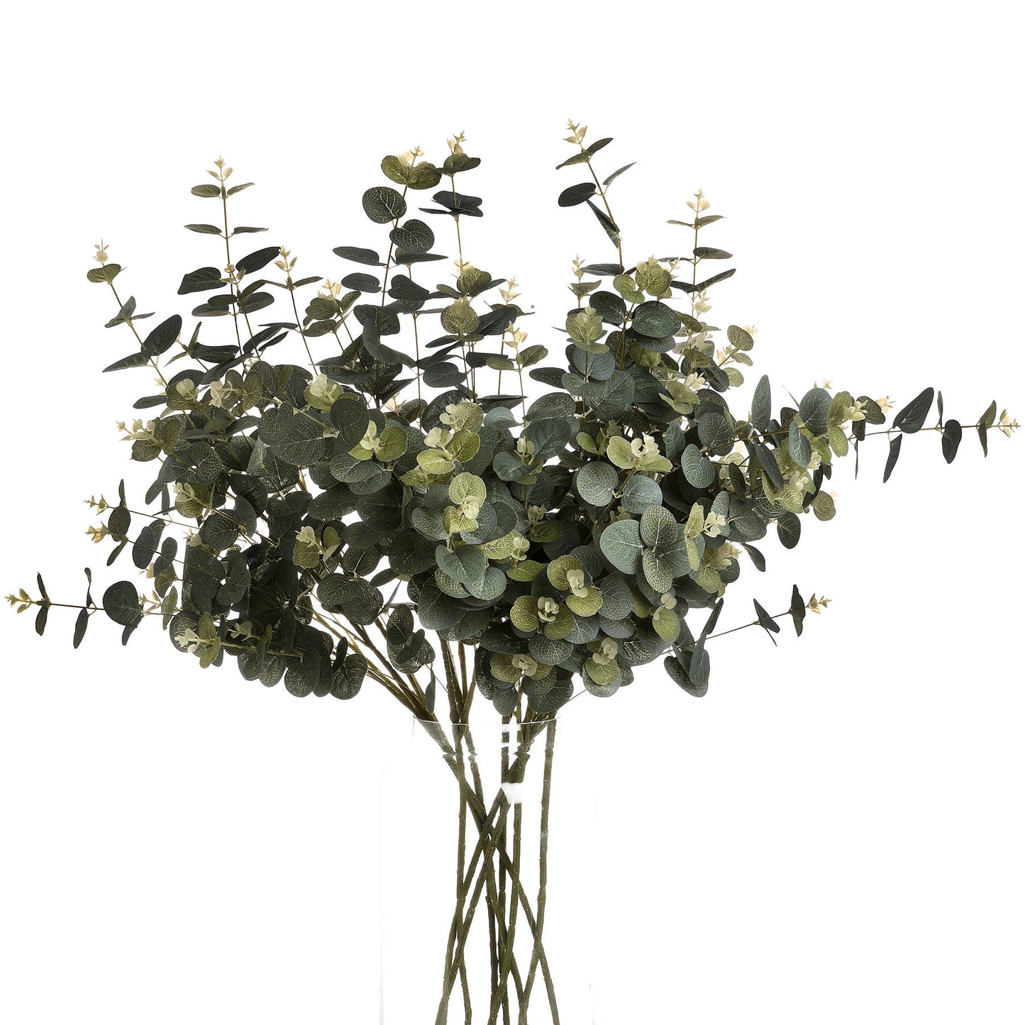 Eucalyptus Spray image 3