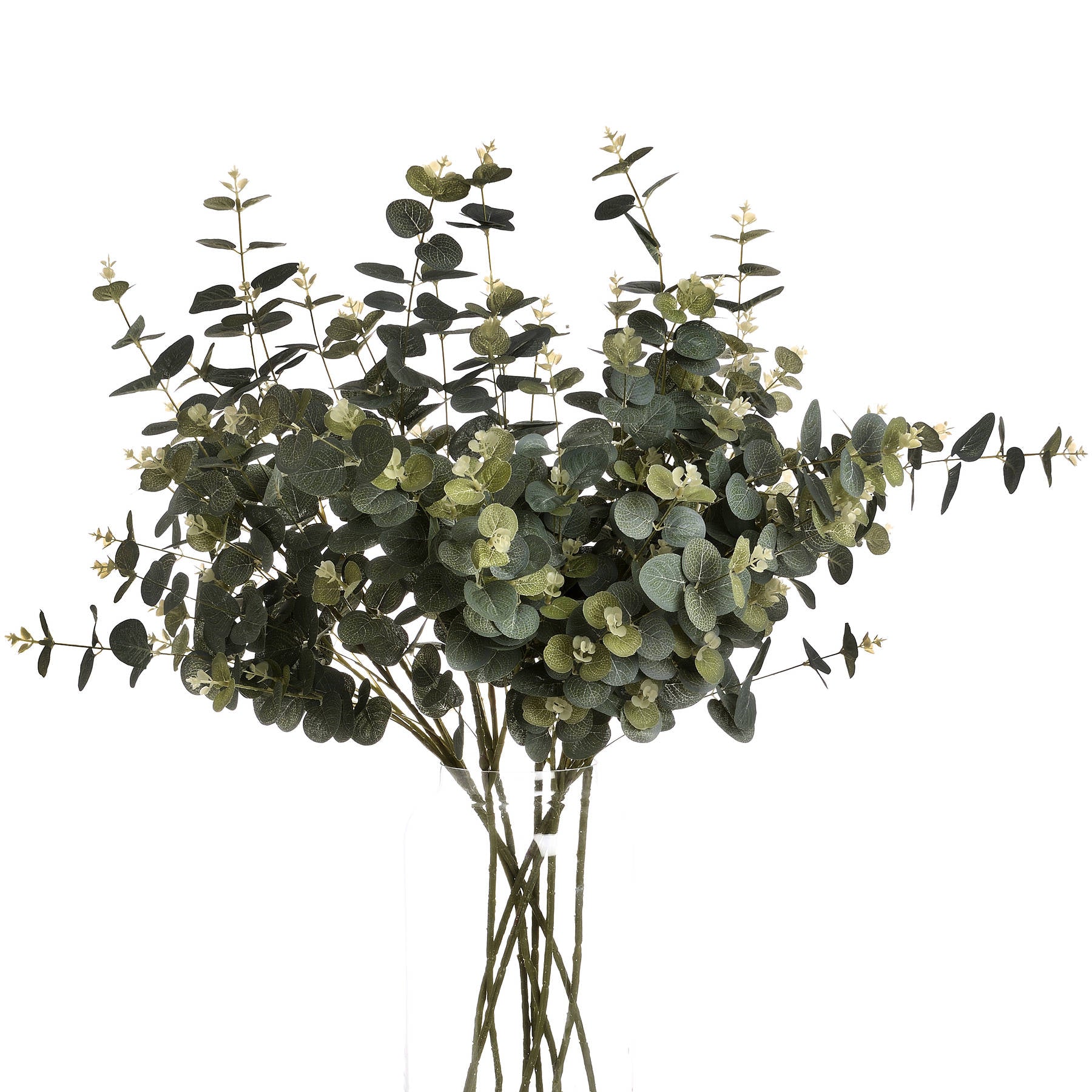 Eucalyptus Spray image 3