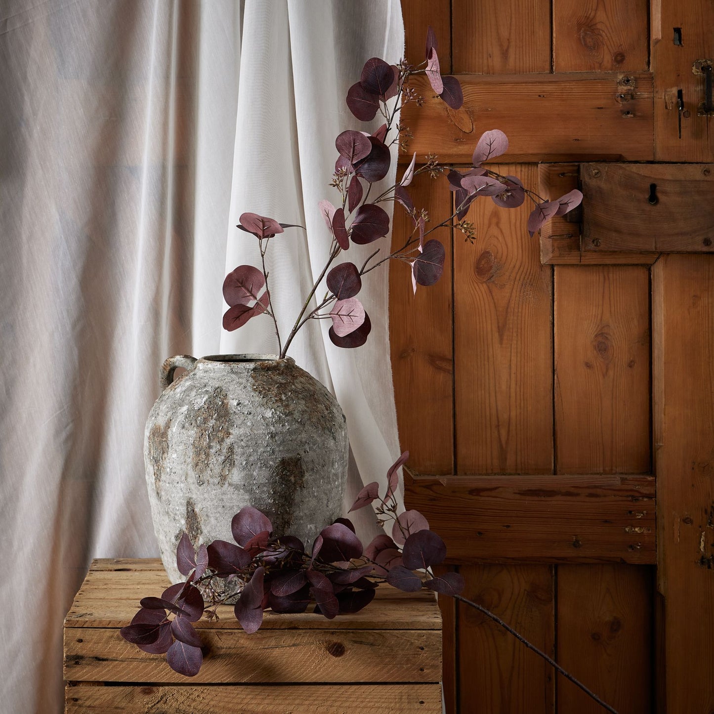 Burgundy Purple Berried Eucalyptus Stem image 0