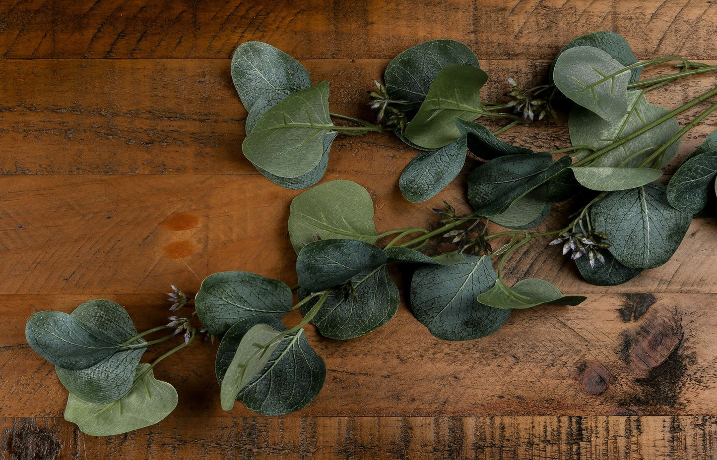 Eucalyptus Stem Spray image 2