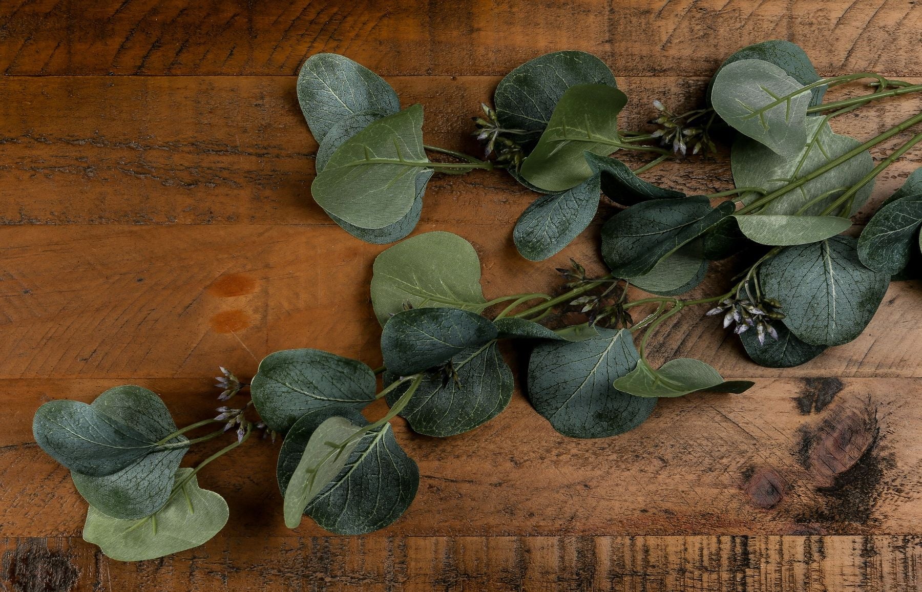 Eucalyptus Stem Spray image 2