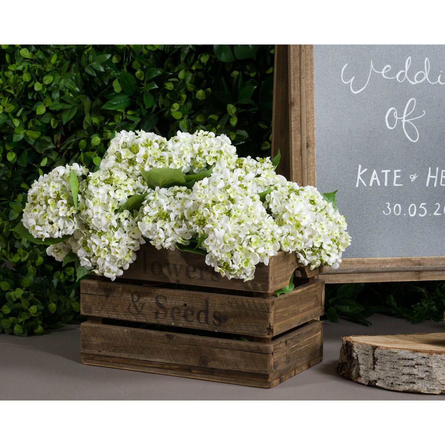White Lace Cap Hydrangea image 3