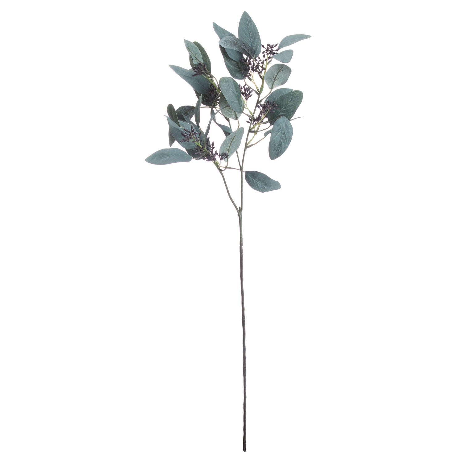 Seeded Eucalyptus Stem image 2