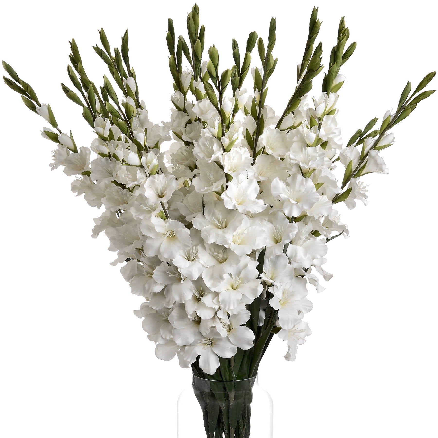 White Gladioli image 3