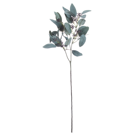 Seeded Eucalyptus Stem image 0