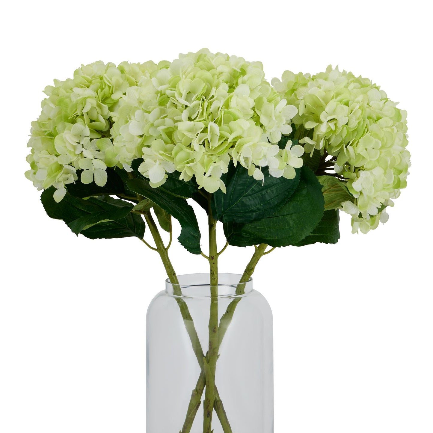 Oversized Green Hydrangea image 4
