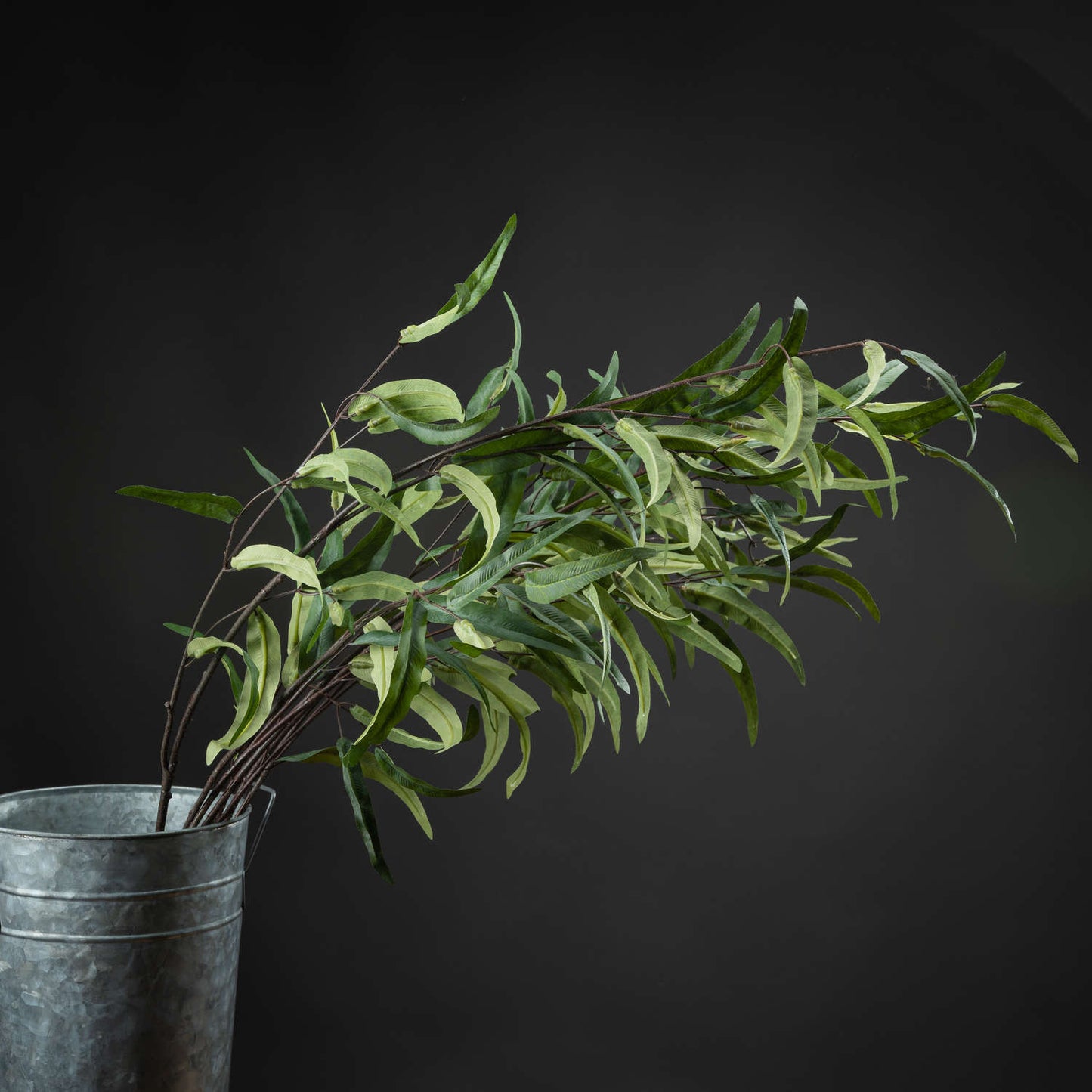 Eucalyptus Nicholii Spray image 0