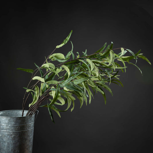 Eucalyptus Nicholii Spray image 0