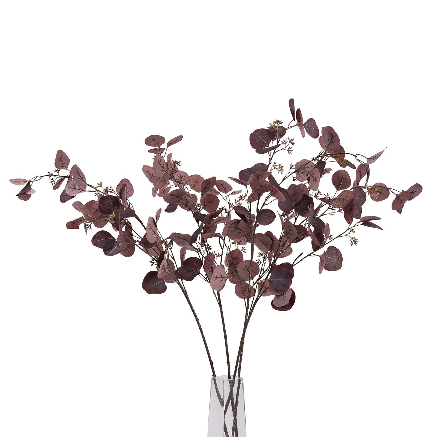Burgundy Purple Berried Eucalyptus Stem image 4