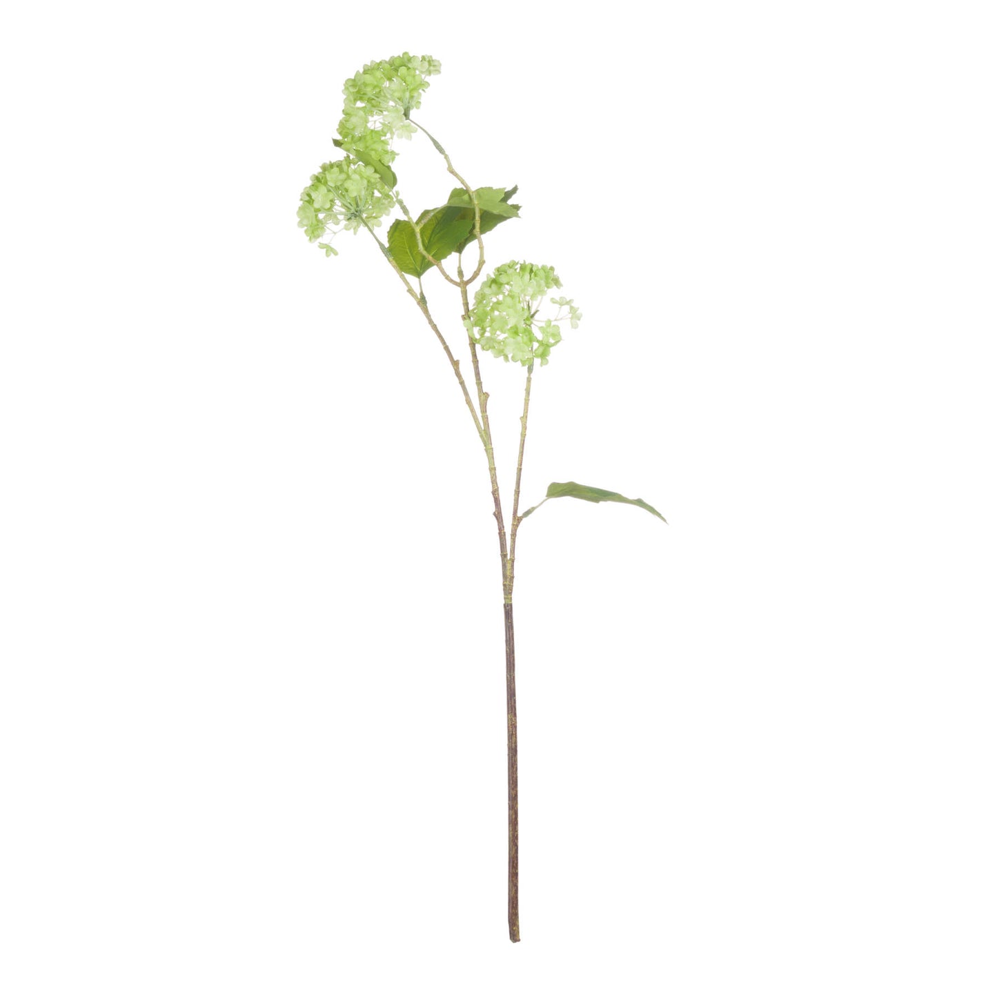 Artificial green viburnum branch on a white background