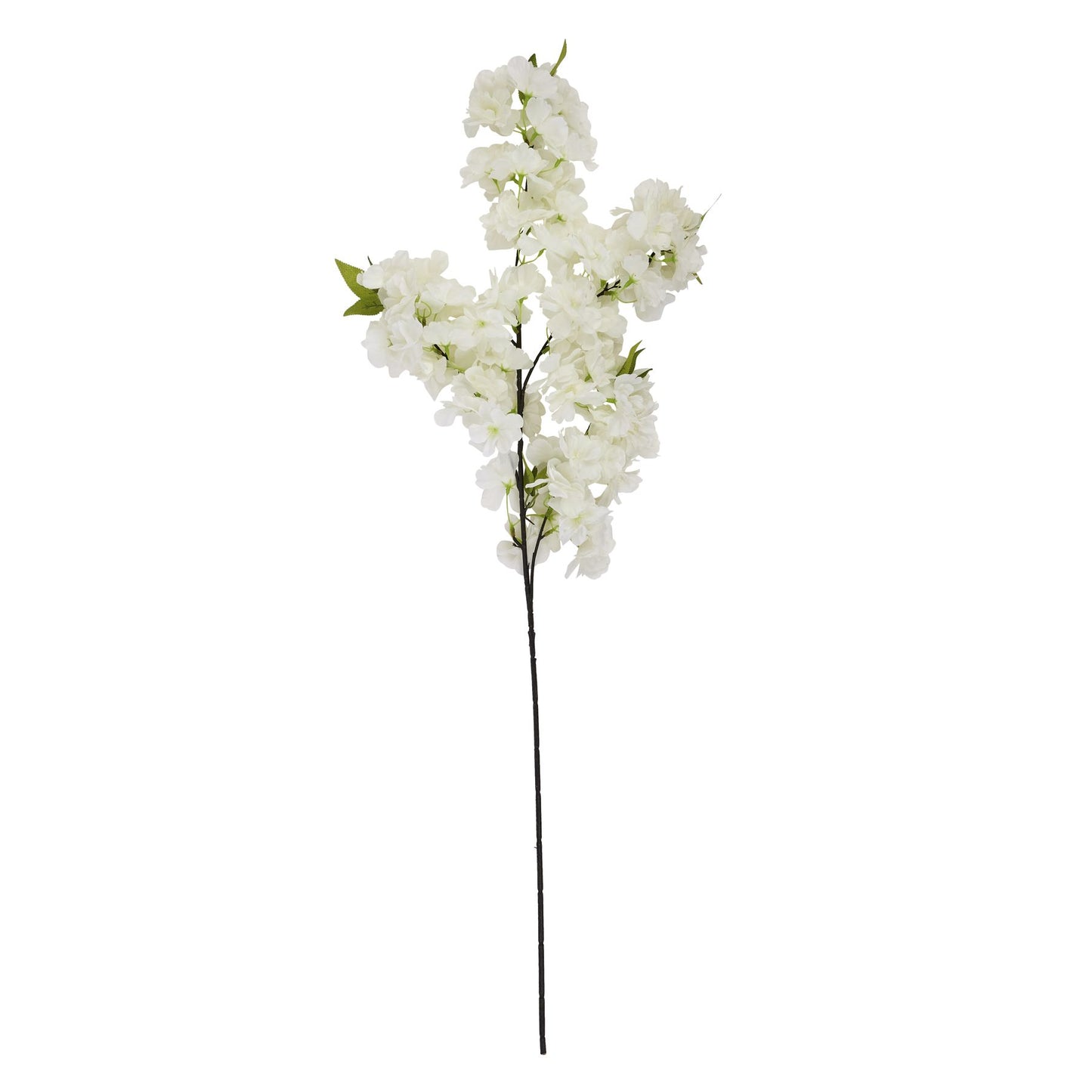 Large White Full Cherry Blossom Stem image 3