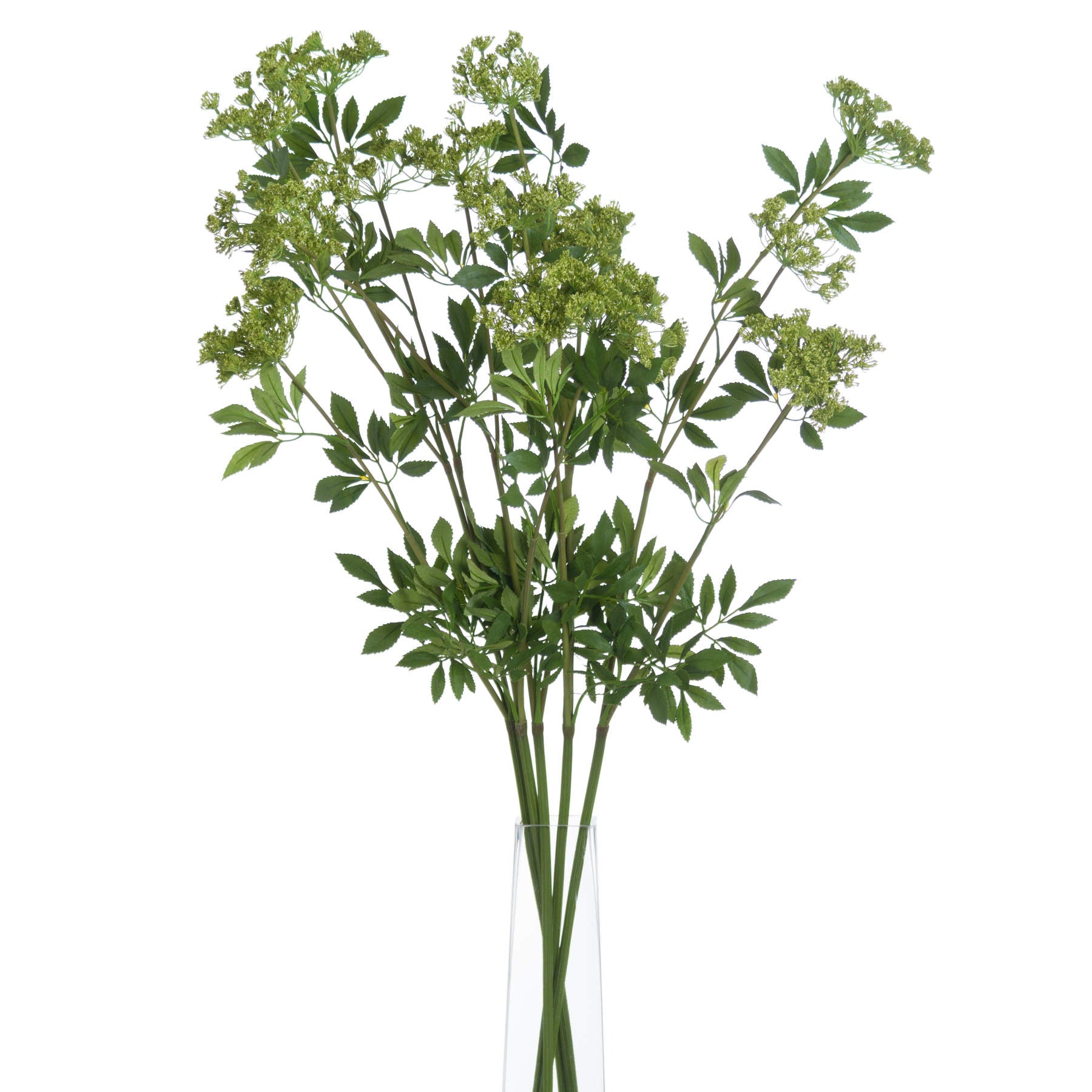 Faux Cow Parsley Ammi image 2