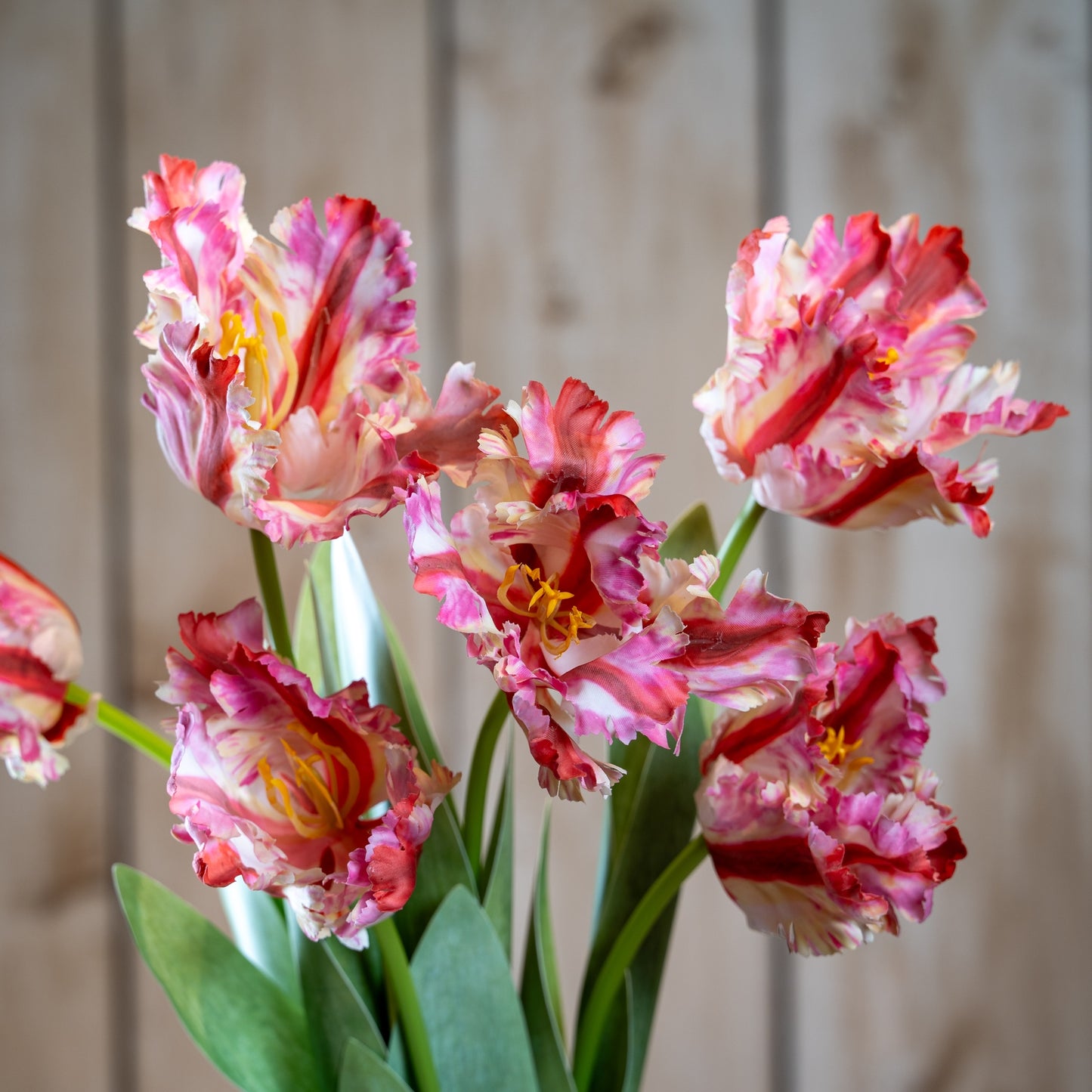 Multi Pink Parrot Artificial Single Tulip Stem