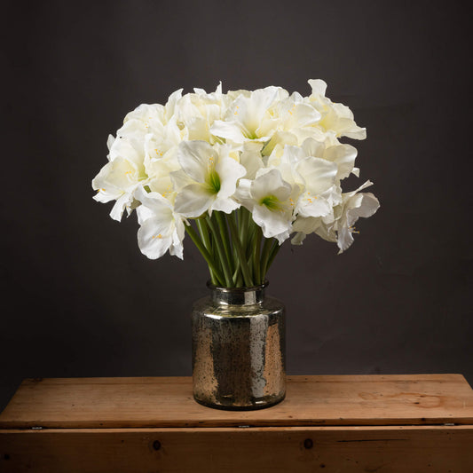 Classic White Amaryllis Flower image 0